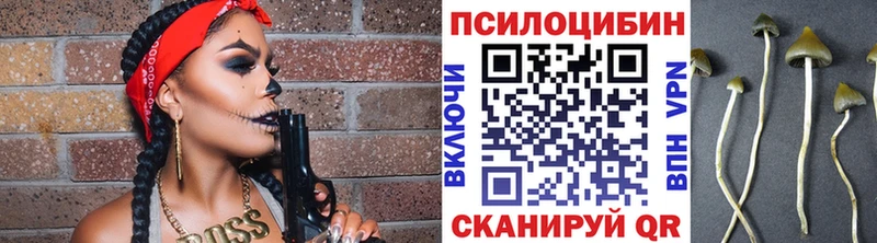 это официальный сайт  Рудня  Псилоцибиновые грибы MAGIC MUSHROOMS 